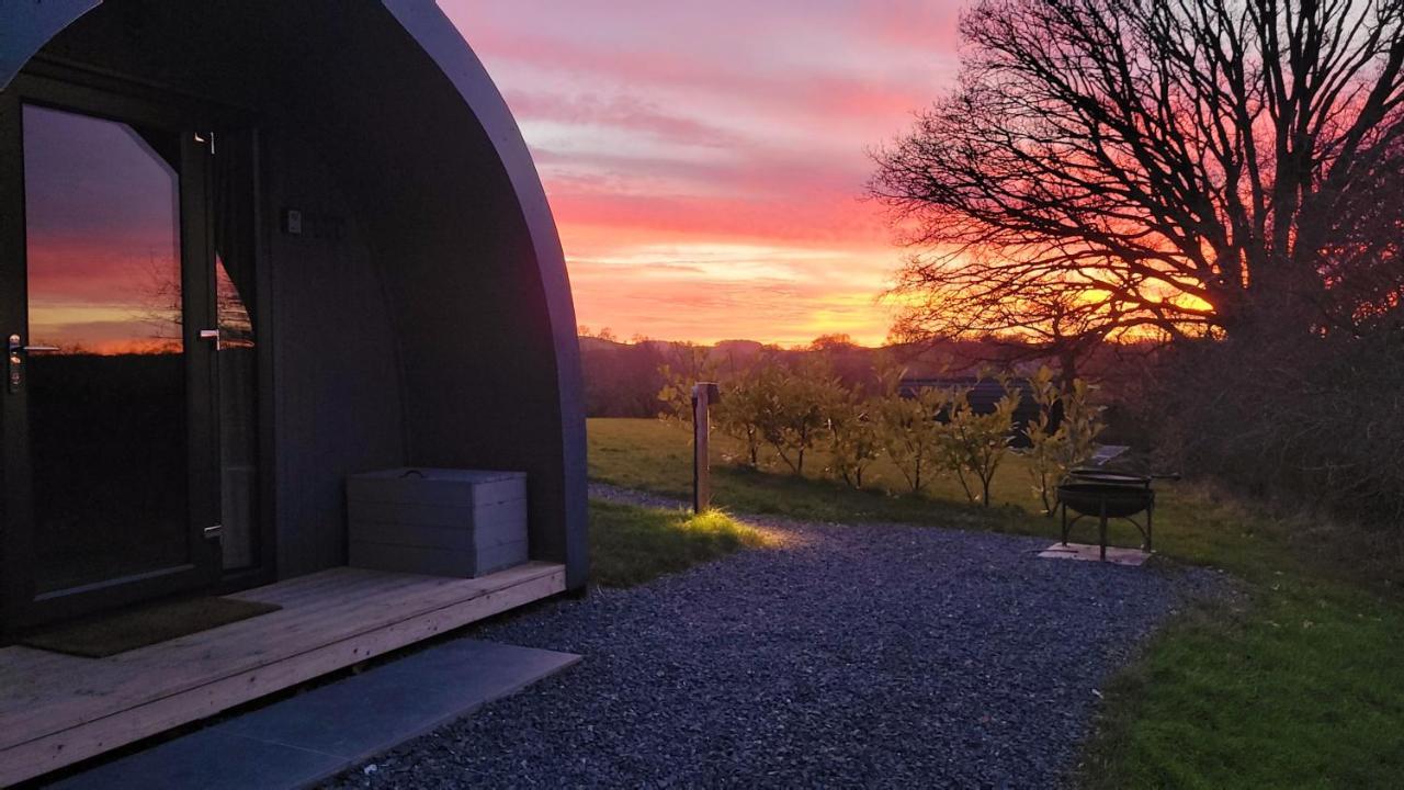Odli Glamping - Luxury Glamping Pod Villa Welshpool Eksteriør bilde
